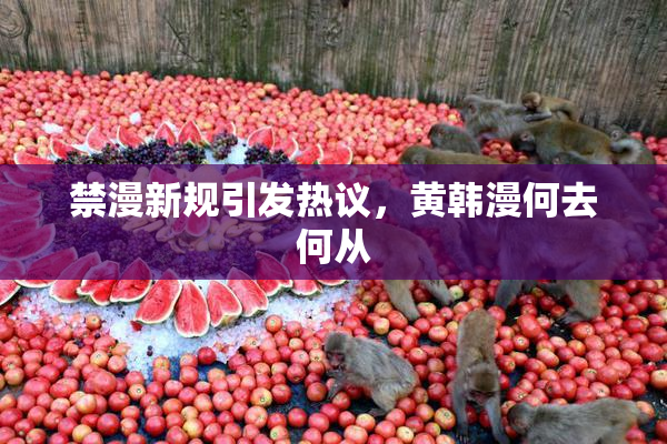禁漫新规引发热议，黄韩漫何去何从