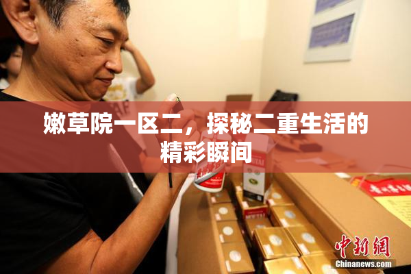 嫩草院一区二，探秘二重生活的精彩瞬间