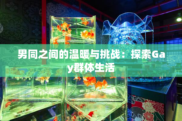 男同之间的温暖与挑战：探索Gay群体生活
