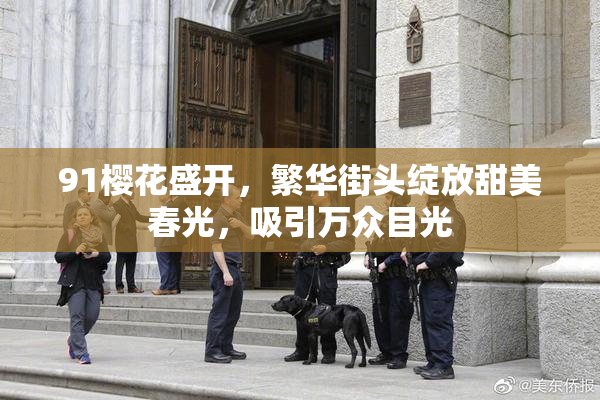91樱花盛开，繁华街头绽放甜美春光，吸引万众目光