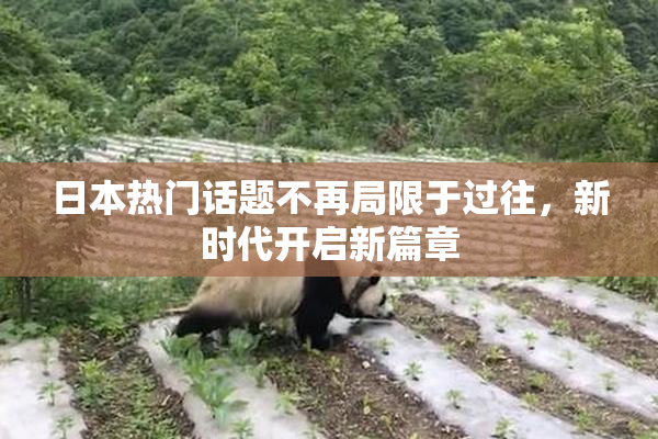日本热门话题不再局限于过往，新时代开启新篇章