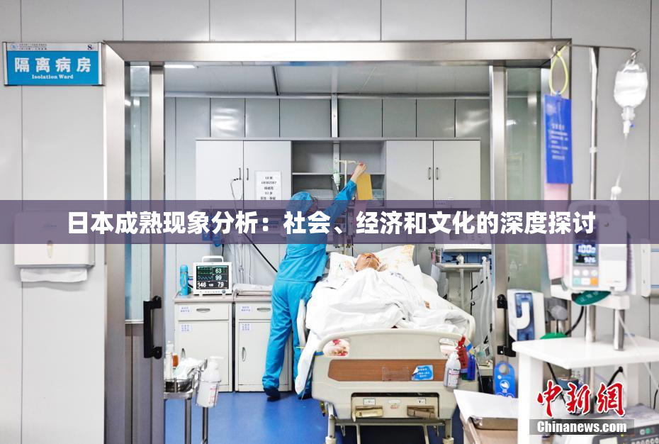 日本成熟现象分析：社会、经济和文化的深度探讨