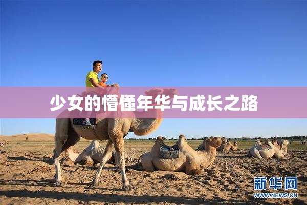 少女的懵懂年华与成长之路