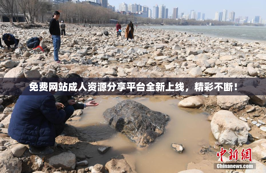 免费网站成人资源分享平台全新上线，精彩不断！