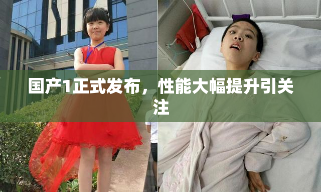 国产1正式发布，性能大幅提升引关注