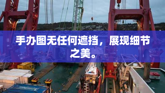 手办图无任何遮挡，展现细节之美。