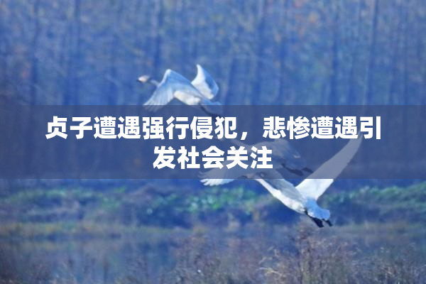 贞子遭遇强行侵犯，悲惨遭遇引发社会关注