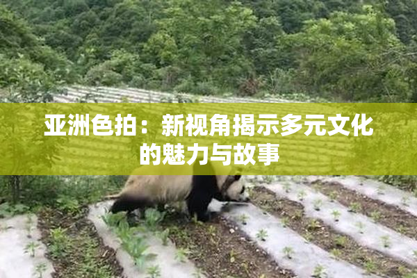 亚洲色拍：新视角揭示多元文化的魅力与故事