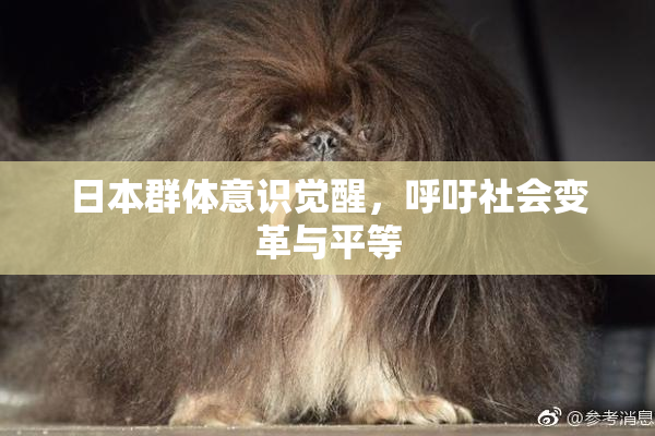日本群体意识觉醒，呼吁社会变革与平等