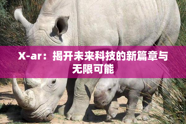 X-ar：揭开未来科技的新篇章与无限可能
