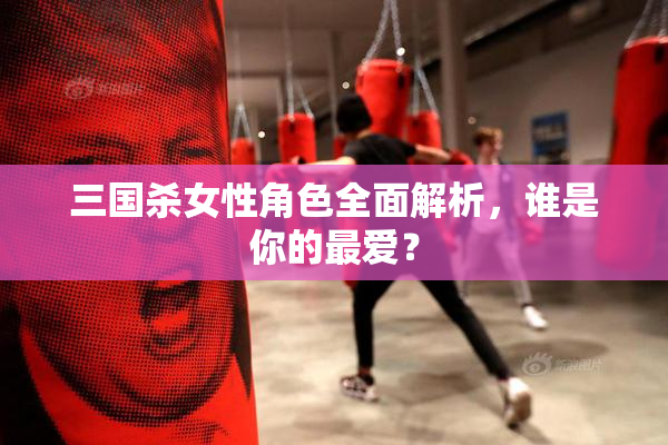 三国杀女性角色全面解析，谁是你的最爱？
