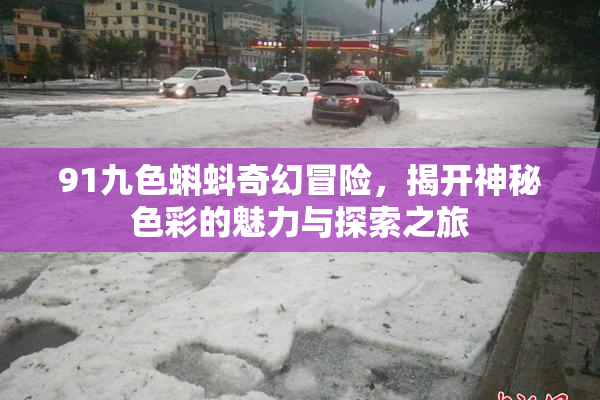 91九色蝌蚪奇幻冒险，揭开神秘色彩的魅力与探索之旅