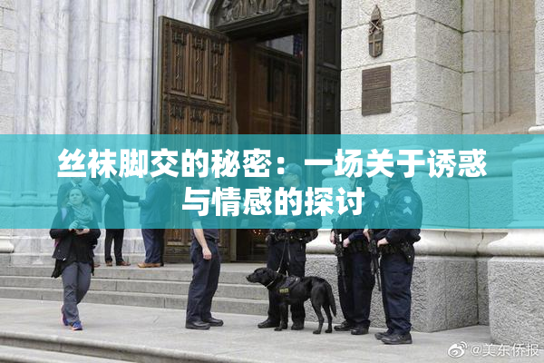 丝袜脚交的秘密：一场关于诱惑与情感的探讨