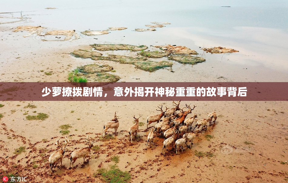 少萝撩拨剧情，意外揭开神秘重重的故事背后
