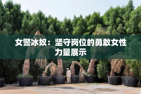 女警冰奴：坚守岗位的勇敢女性力量展示