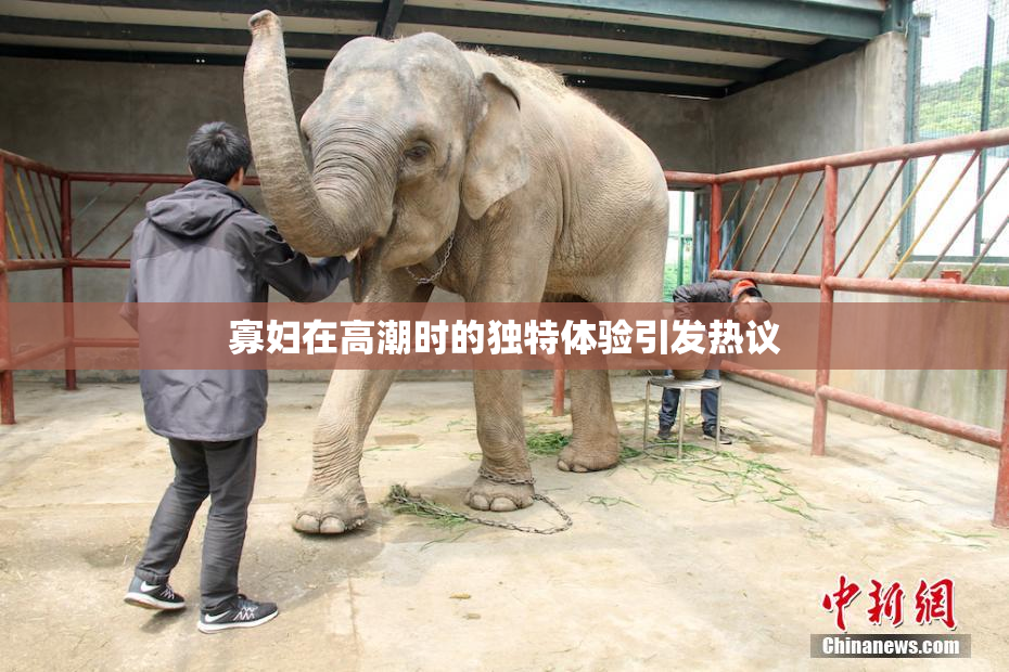 寡妇在高潮时的独特体验引发热议