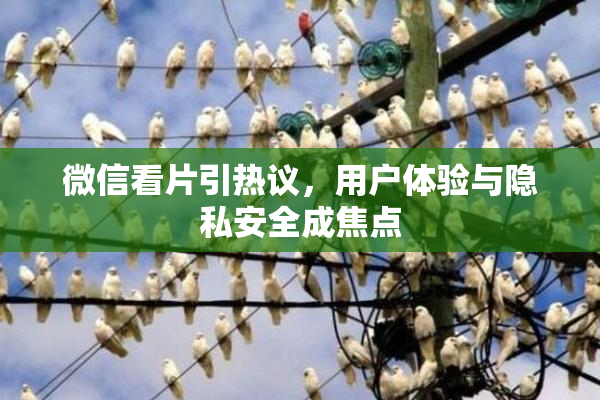微信看片引热议，用户体验与隐私安全成焦点