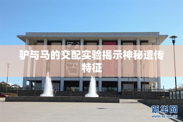 驴与马的交配实验揭示神秘遗传特征