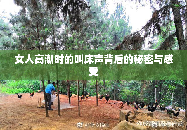女人高潮时的叫床声背后的秘密与感受