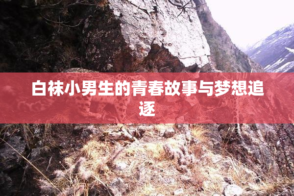 白袜小男生的青春故事与梦想追逐