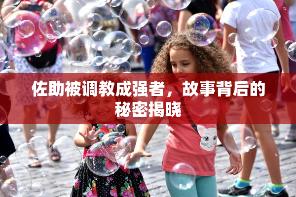 佐助被调教成强者，故事背后的秘密揭晓