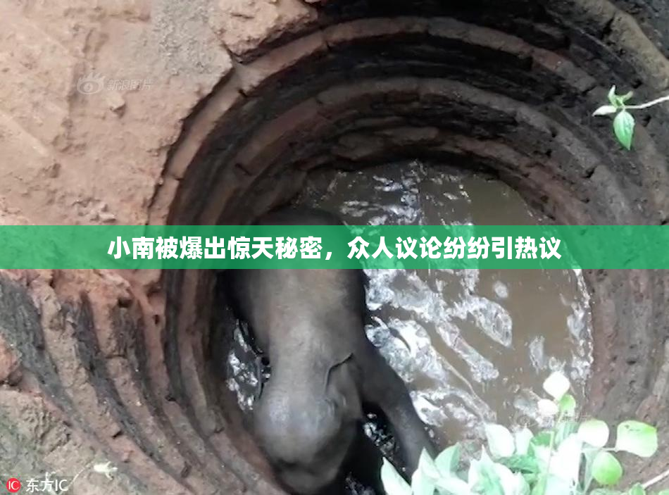小南被爆出惊天秘密，众人议论纷纷引热议