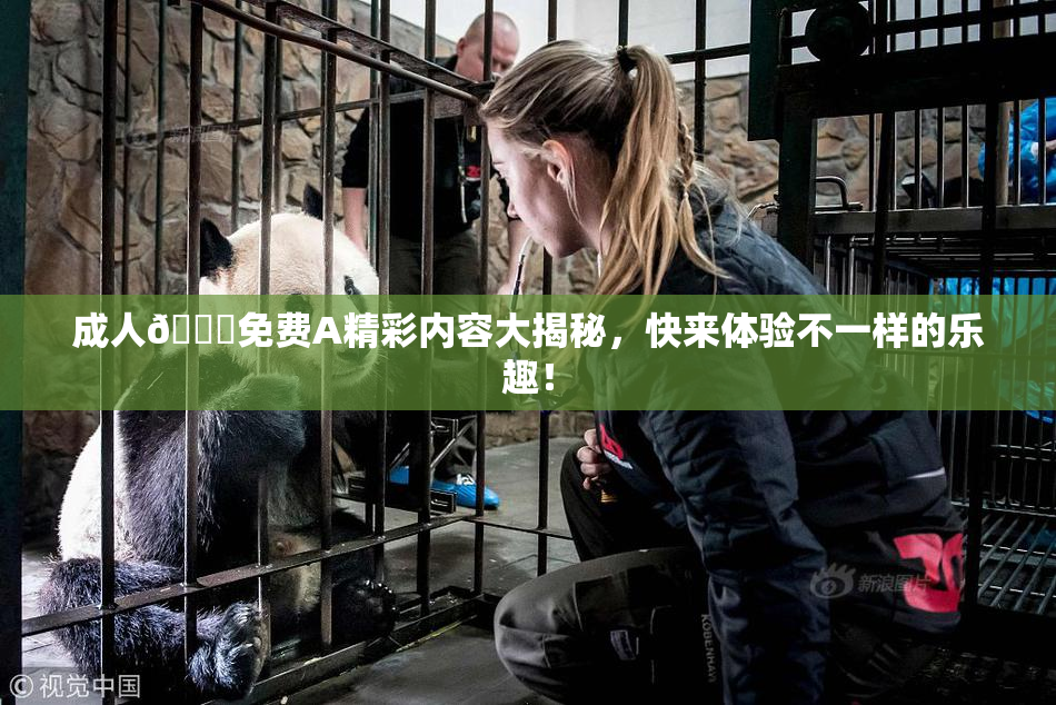 成人🔞免费A精彩内容大揭秘，快来体验不一样的乐趣！