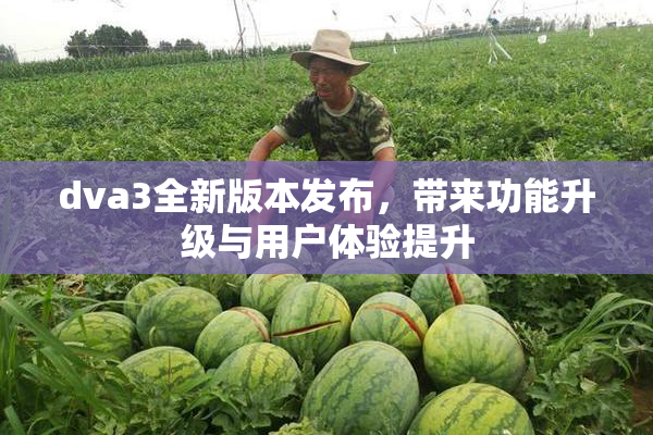 dva3全新版本发布，带来功能升级与用户体验提升