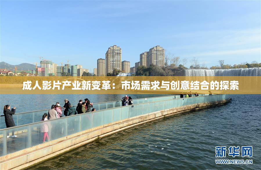 成人影片产业新变革：市场需求与创意结合的探索