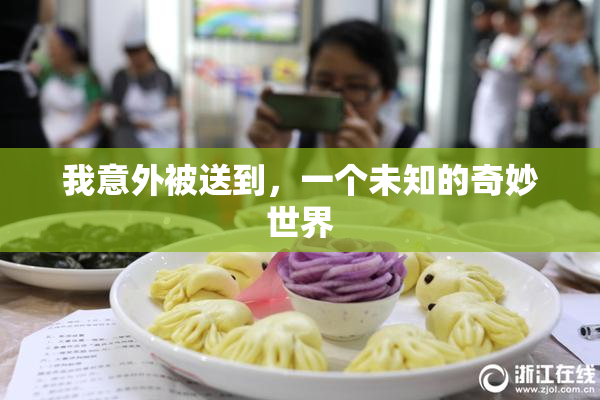 我意外被送到，一个未知的奇妙世界