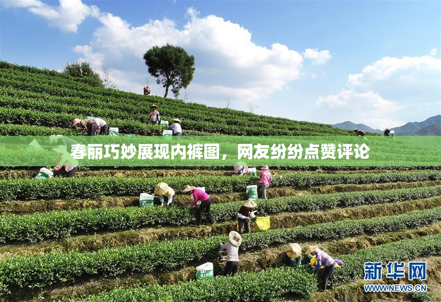 春丽巧妙展现内裤图，网友纷纷点赞评论