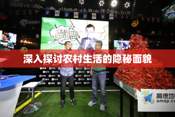深入探讨农村生活的隐秘面貌