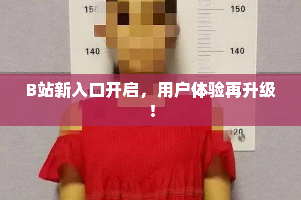 B站新入口开启，用户体验再升级！