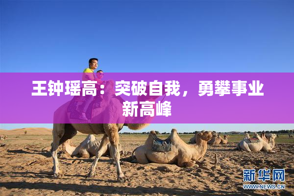 王钟瑶高：突破自我，勇攀事业新高峰