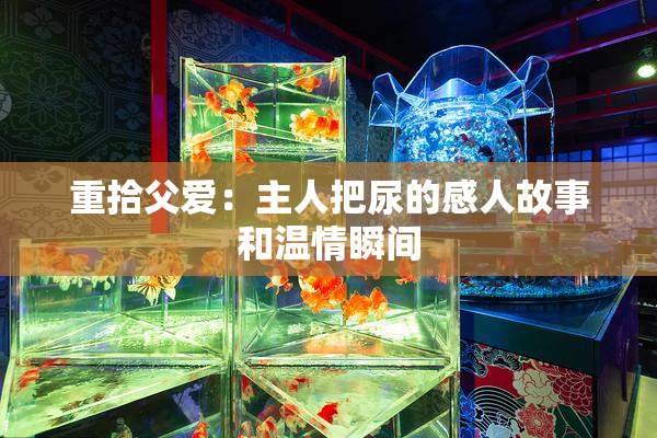 重拾父爱：主人把尿的感人故事和温情瞬间