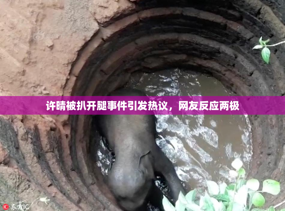 许晴被扒开腿事件引发热议，网友反应两极