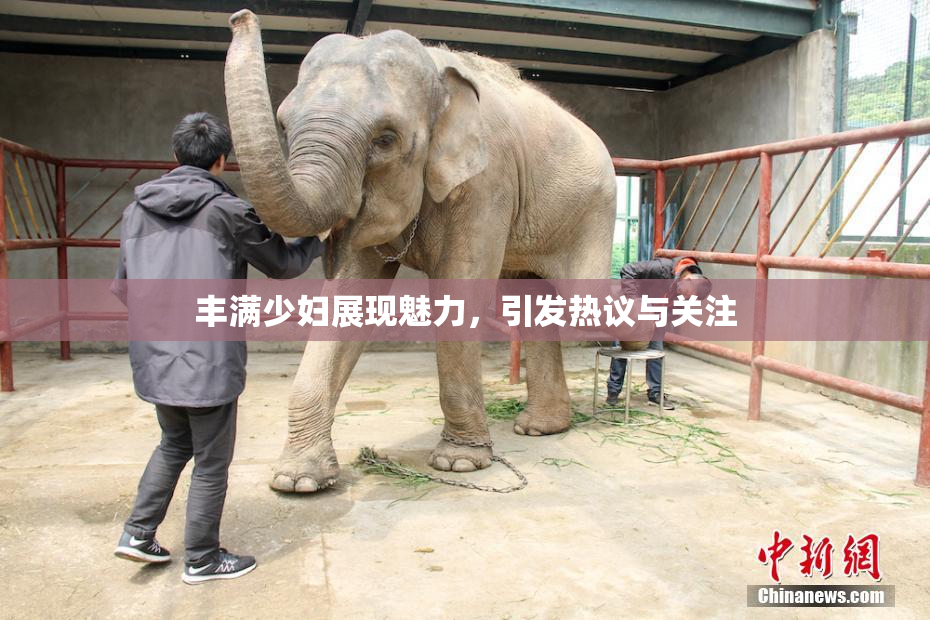 丰满少妇展现魅力，引发热议与关注