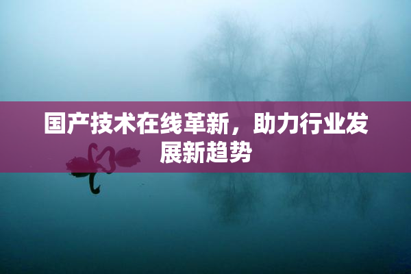国产技术在线革新，助力行业发展新趋势