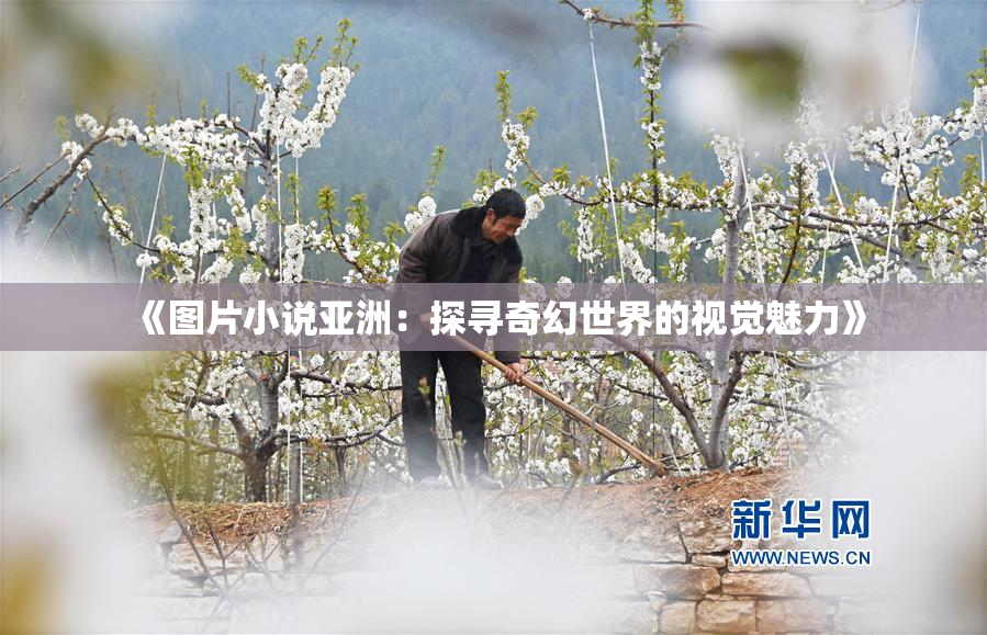 《图片小说亚洲：探寻奇幻世界的视觉魅力》