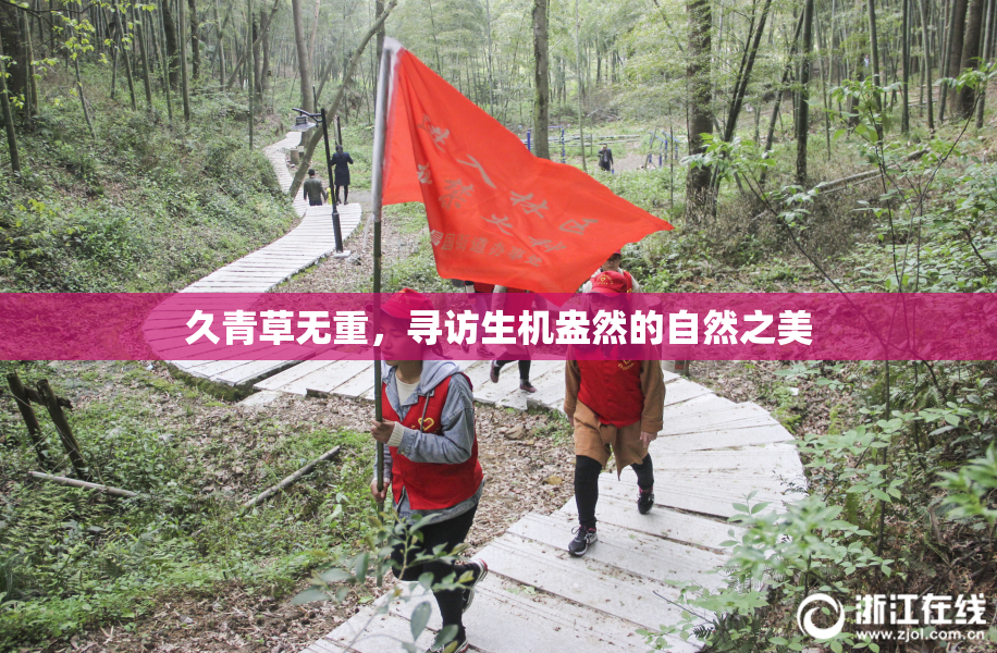 久青草无重，寻访生机盎然的自然之美