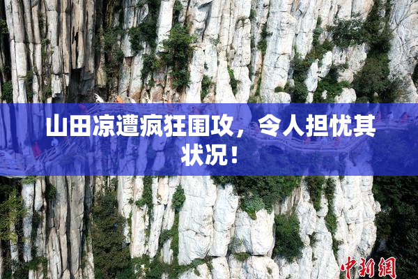 山田凉遭疯狂围攻，令人担忧其状况！