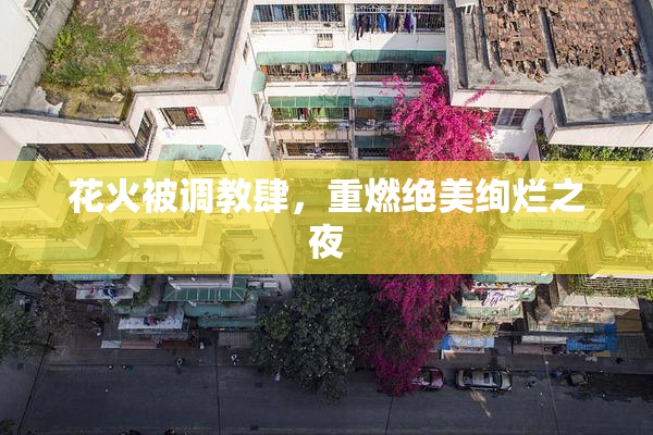 花火被调教肆，重燃绝美绚烂之夜