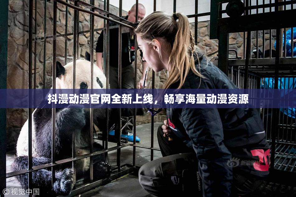 抖漫动漫官网全新上线，畅享海量动漫资源