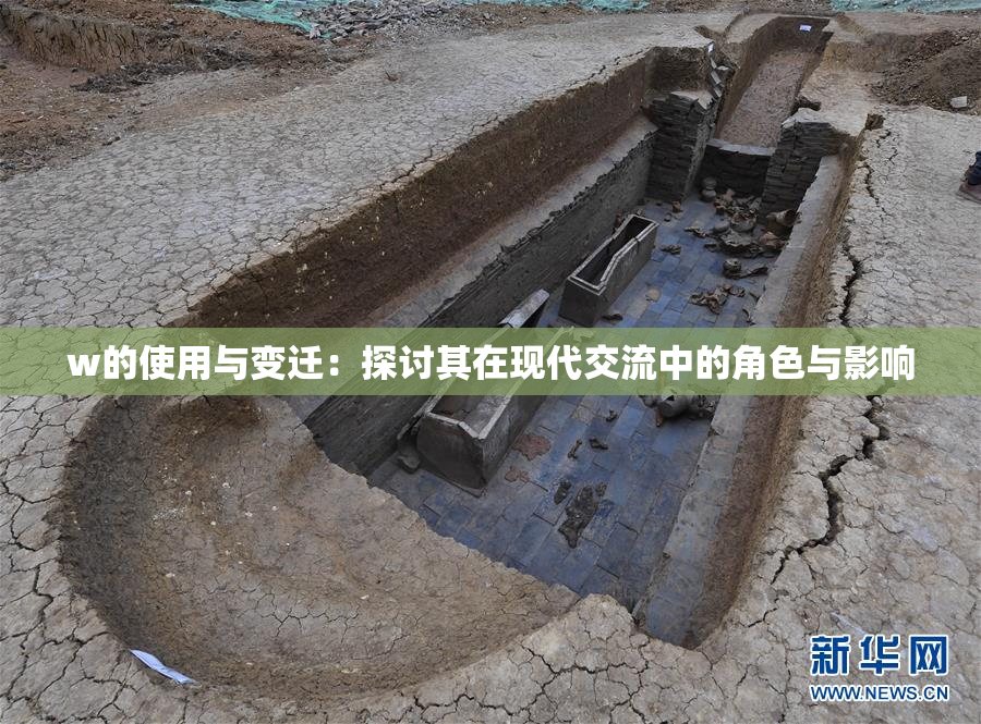 w的使用与变迁：探讨其在现代交流中的角色与影响