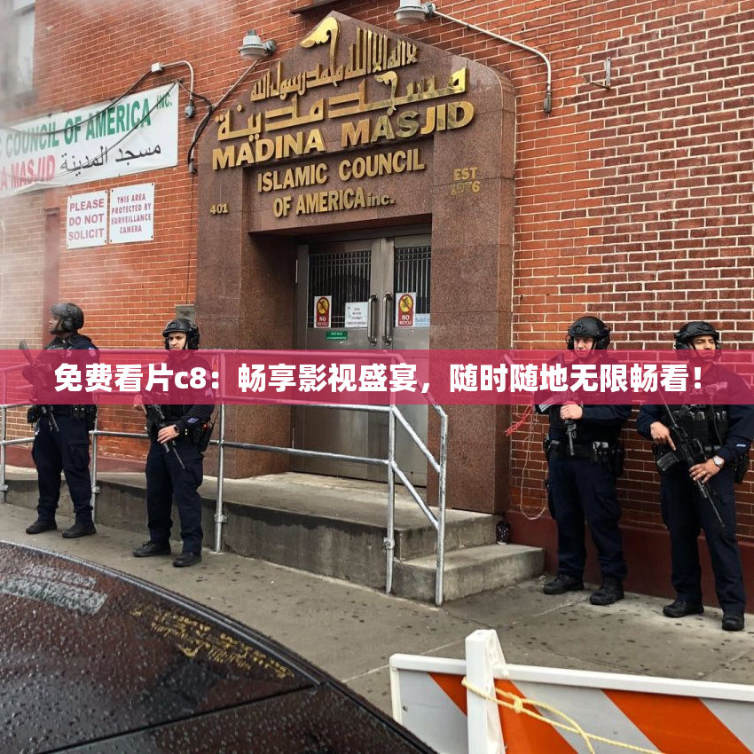 免费看片c8：畅享影视盛宴，随时随地无限畅看！