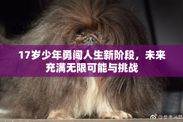 17岁少年勇闯人生新阶段，未来充满无限可能与挑战