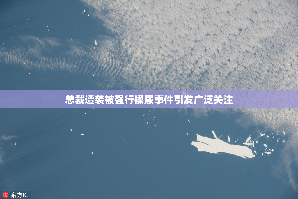总裁遭袭被强行揉尿事件引发广泛关注