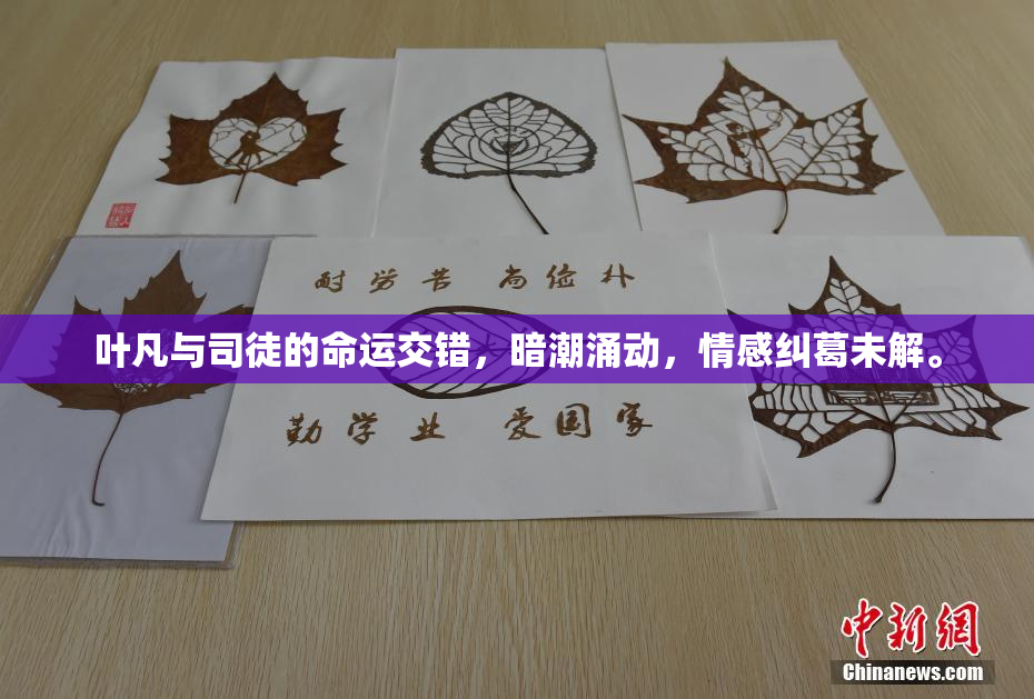 叶凡与司徒的命运交错，暗潮涌动，情感纠葛未解。