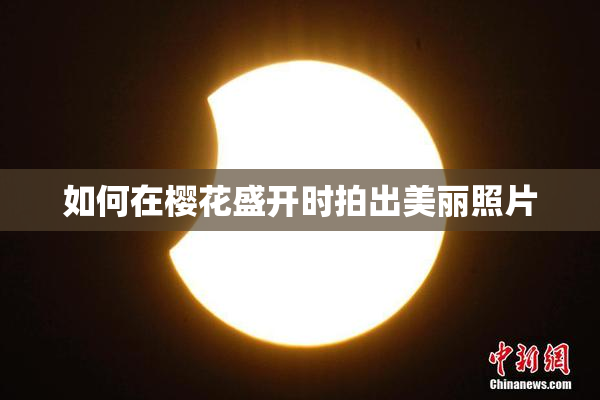 如何在樱花盛开时拍出美丽照片