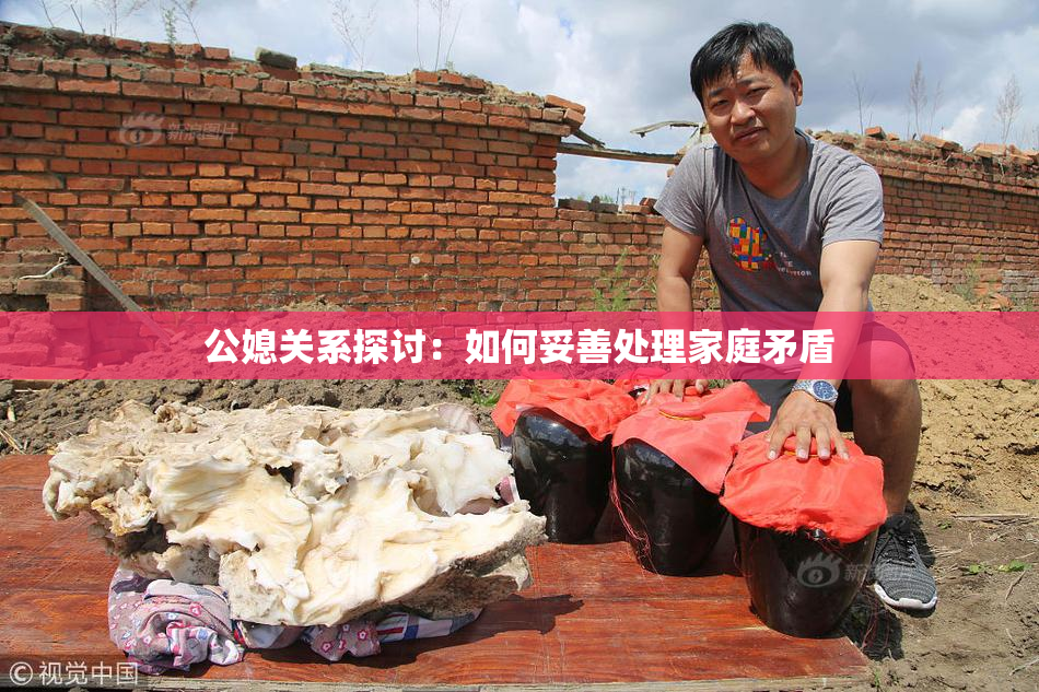 公媳关系探讨：如何妥善处理家庭矛盾